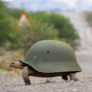 Meet your Posher, Kacy